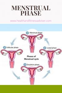 Menstrual Phase