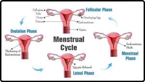 Menstral
