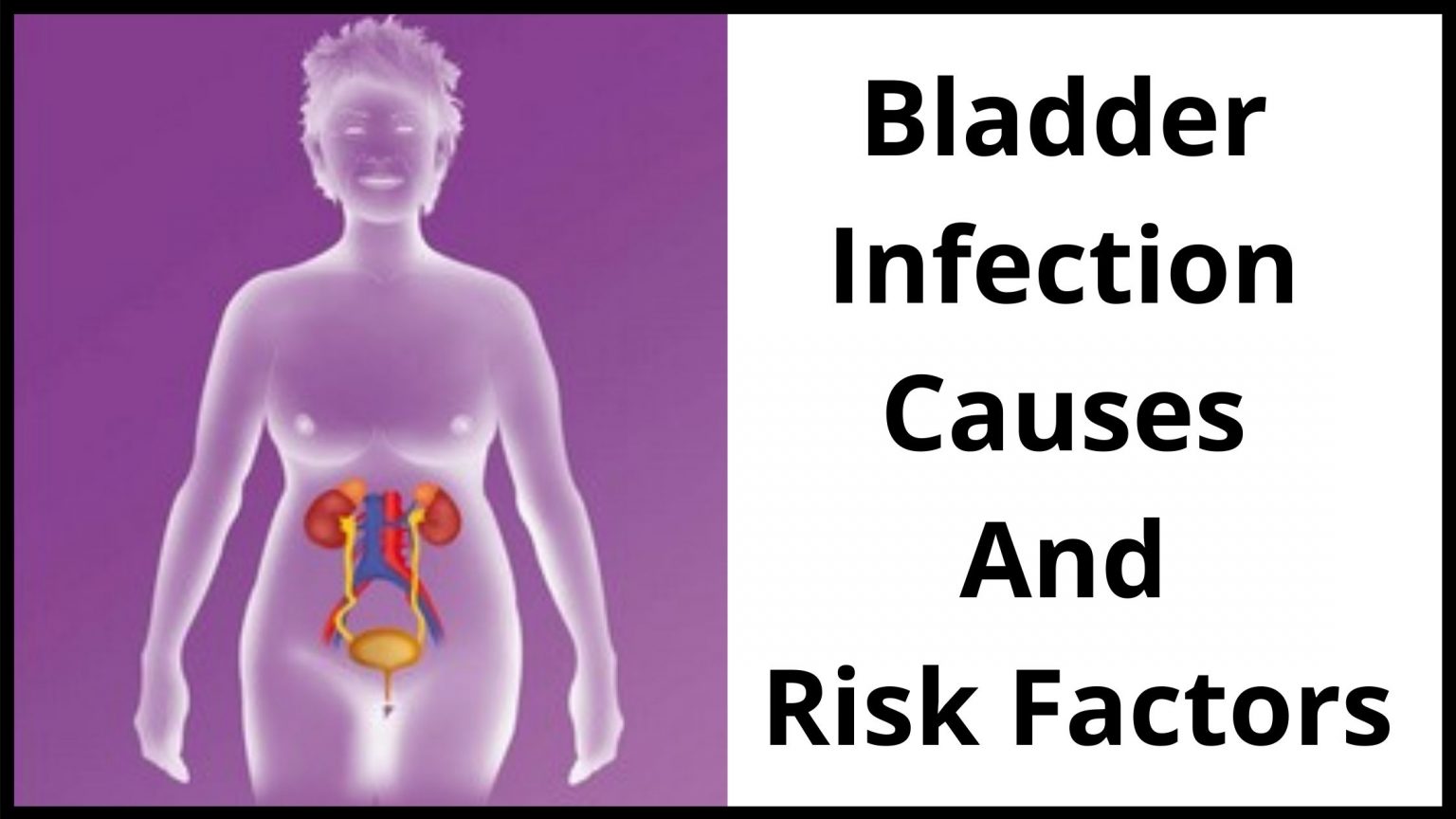 Bladder Infection Versus Yeast Infection What To Know Why