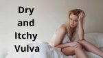 Dry and Itchy Vulva – Causes, Treatments, and Diagnosis.
