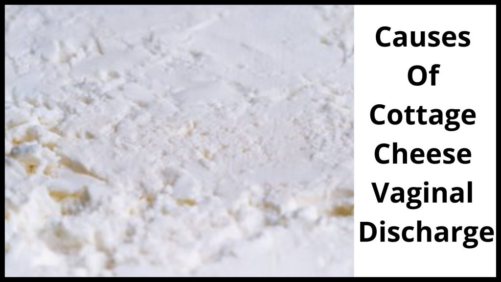 Cottage Cheese Vaginal Discharge Causes Symptoms Treatment   Causes Of Cottage Cheese Vaginal Discharge 1024x576 