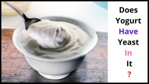 Does Yogurt Have Yeast In It