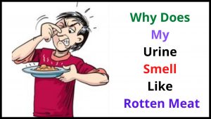 Why Does My Urine Smell Like Rotten Meat