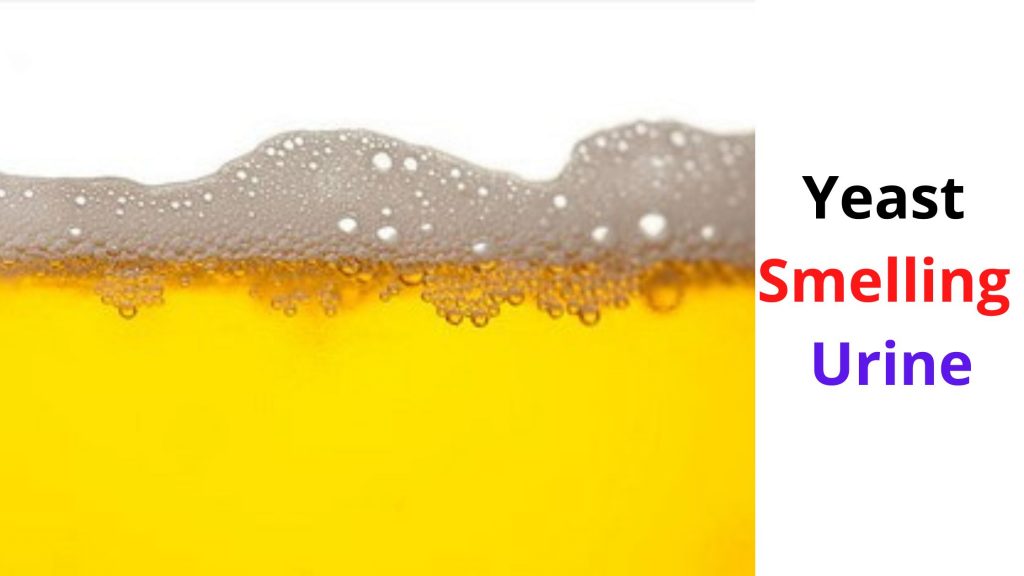 Yeast Smelling Urine