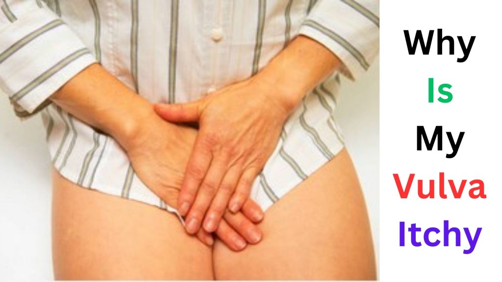 Why Is My Vulva Itchy